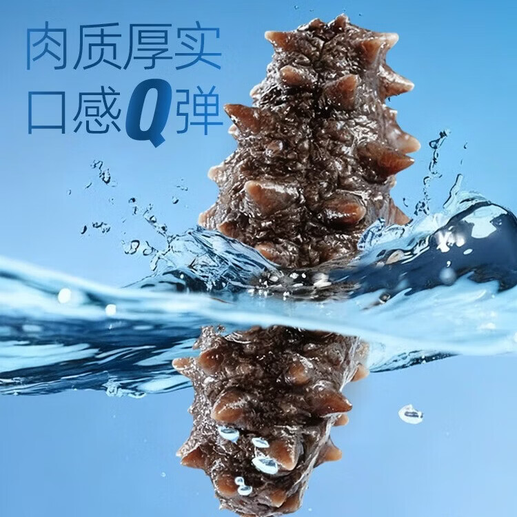 大宴岛大连有机冷冻海参1斤简装即食独立包装官方旗舰店固形物80% 2斤/20-24头礼盒
