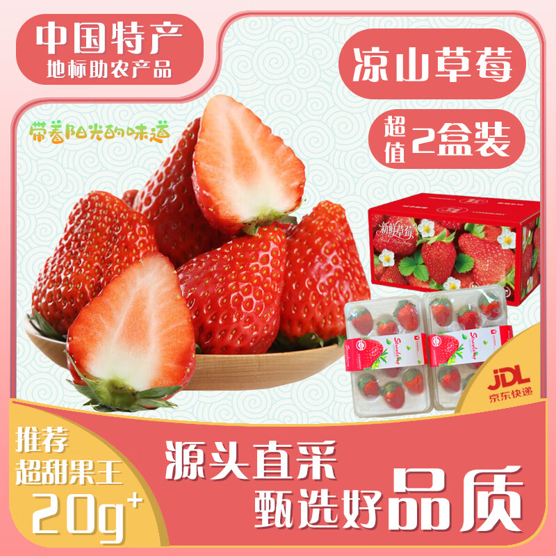 闽域寻鲜四川大凉山草莓【JD顺丰-多地次日达】99红颜奶油非丹东草莓送礼 带箱2斤【单果15-20g丨净1.5斤】彩箱装