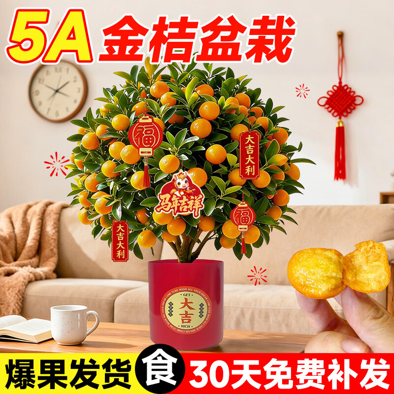 ���ڲ���������5A����������������ٿ�ʳ�ô�����Ƥ�ļ����ӿ���������ֲ����� �������������5A���+��ɫ��Ͱ��