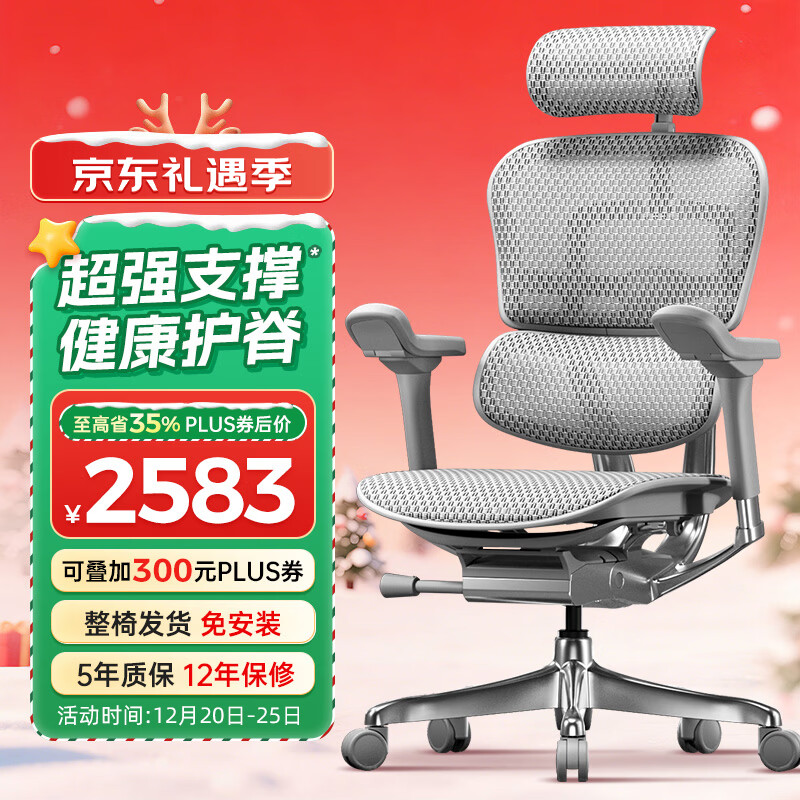 Ergonor保友金豪e2代 高端人体工学椅电脑椅办公椅电竞椅子 银白网