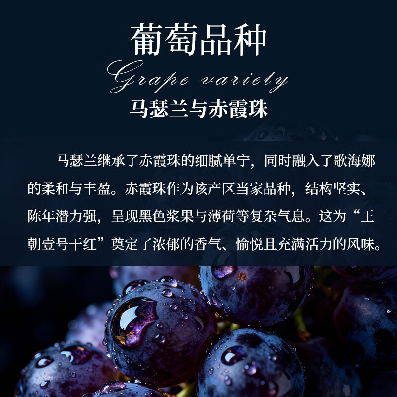 王朝壹号干红葡萄酒 贺兰山产区 750ml*2