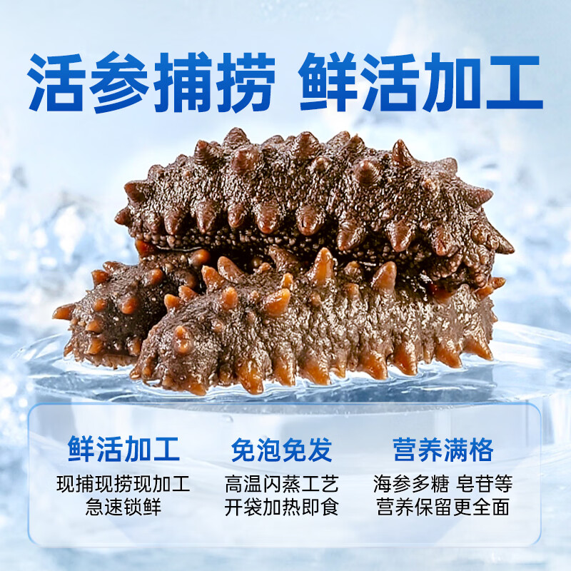 小兵海参鲜食海参正宗即食深海刺参 滋补营养礼盒独立包装 【三斤装】限时钜惠，买2斤送1斤到手3斤 10-12头/斤