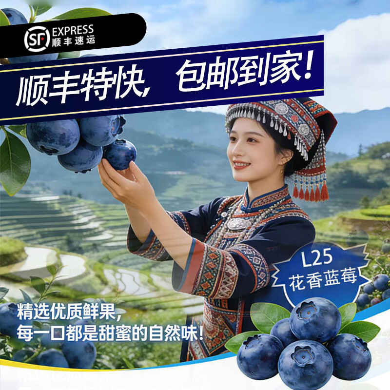 云南花香蓝莓L25高端蓝莓育溪花香蓝莓新鲜蓝莓大果脆甜顺丰包邮 18+（125g*4盒）普通泡沫箱装