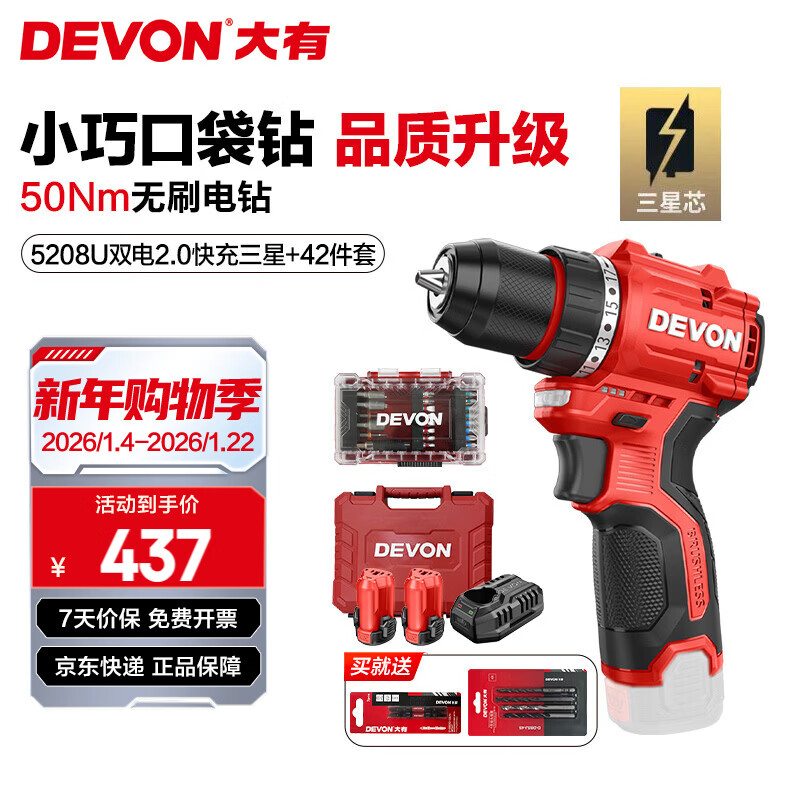 大有（Devon）12V锂电无刷电钻5208手电钻冲击钻5209电动螺丝刀家用电钻 5208U 2.0Ah双电快充三星芯+42件套