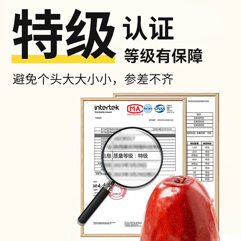 丰域美疆新疆特产大枣子泡水喝煲汤零食大红枣新疆特级一级京东自经营2025 【超特级枣王】阿克苏最好的枣 阿克苏糖心枣500g*2包