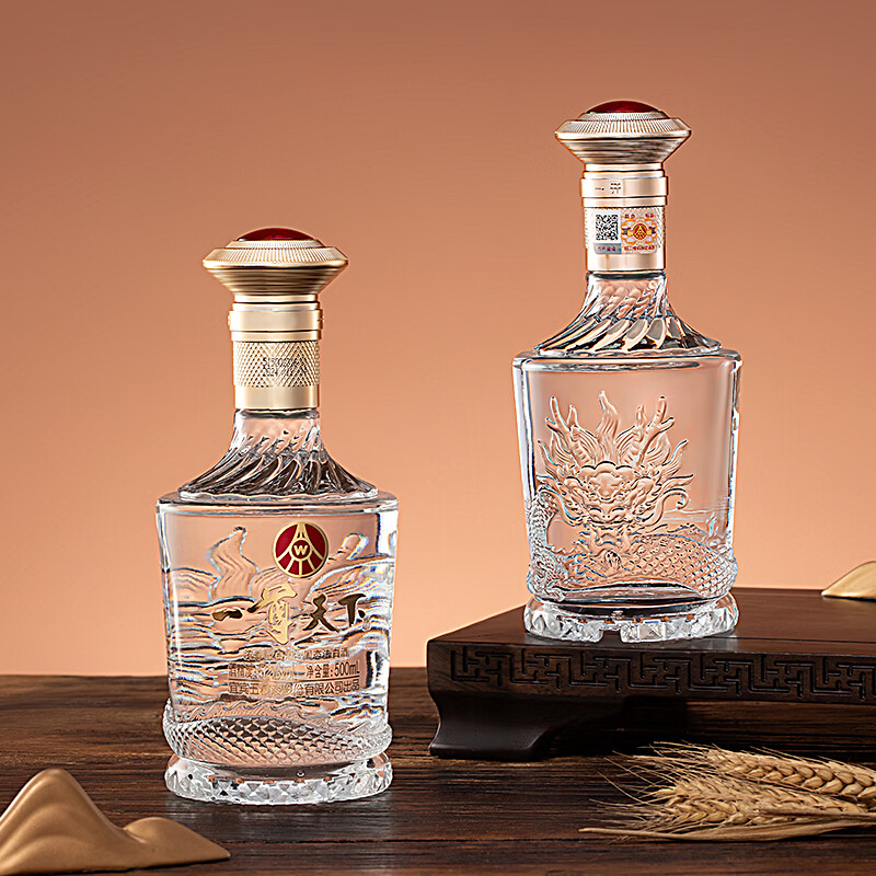 五粮浓香五粮液股份有限公司出品一尊天下 52度浓香型白酒礼盒 婚宴喜酒  52度 500mL 2瓶 一尊天下盛世佳品