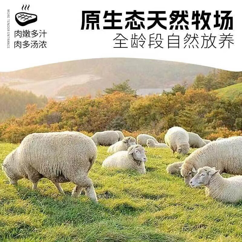 津尚鲜5斤整只生羊腿新鲜切块羊腿肉羔羊肉烤羊腿烧烤新鲜食材可商用 2.5斤【原切羊腿】切块发货