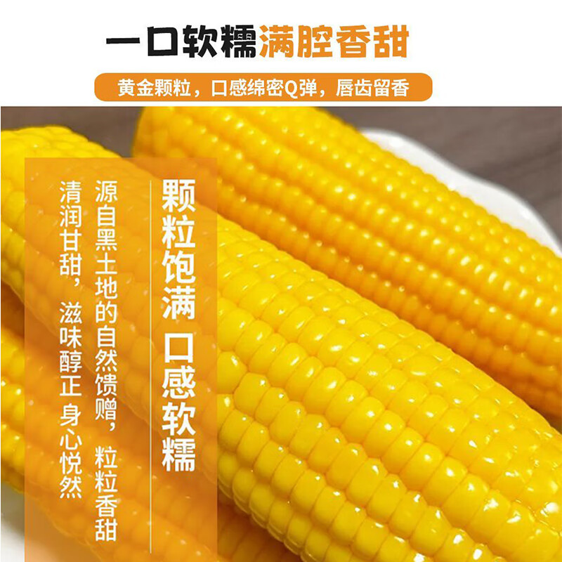 汤泉一品东北玉米新鲜糯玉米精品大棒东北甜糯玉米棒真空玉米轻食苞米棒子 东北黄糯玉米260-350*8根(铝箔袋、透明袋混发)