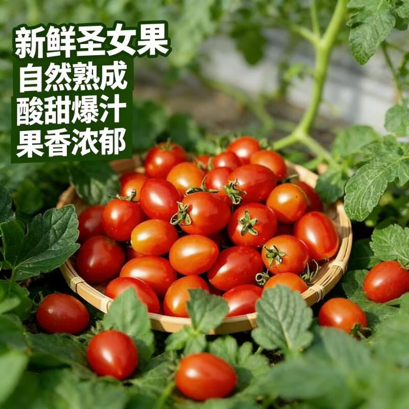 ����¶��ʥŮ��ӣ��С���Ѽ�ʳˮ�������� �����߲� Ӧ�� �������� ����1�� 1.9Ԫ