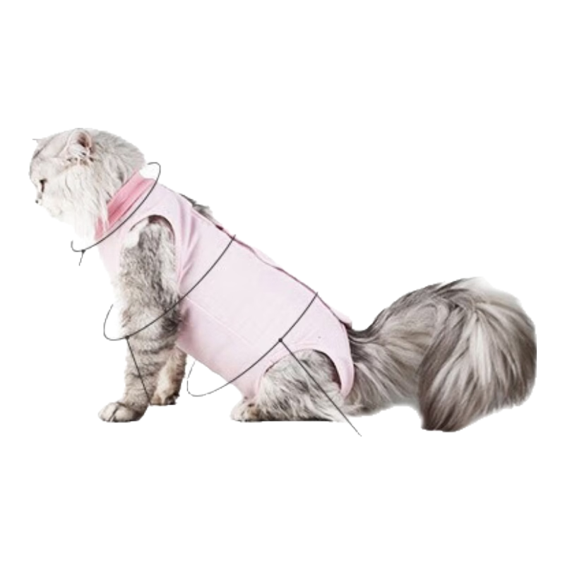 ����������è�������è������ĸè�·���������ָ���Сèè͸�������� 17.9Ԫ