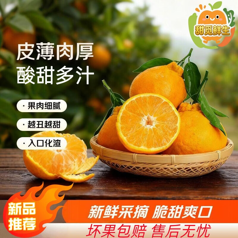 早熟新鲜椪柑桔子耙耙柑新鲜水果芦柑甜当季桔子产地直发 净重4斤【实惠装】单果130克+