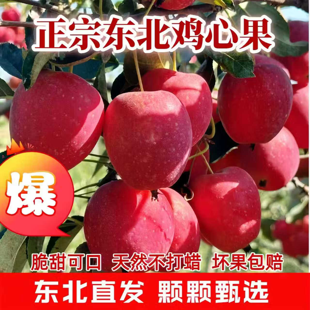 鲜姿麻脸鸡心果东北特产新鲜小苹果脆甜锦绣海棠新鲜孕妇水果水果礼盒 鸡心果净重4斤实惠装(单果30-35g)