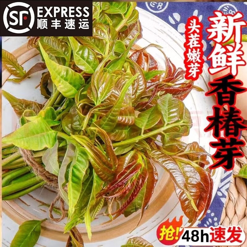 金百粟【顺丰到家】陕西头茬香椿芽新鲜野菜红绿油香椿叶野现采蔬菜现摘 香椿250g装【2盒】-顺丰直达