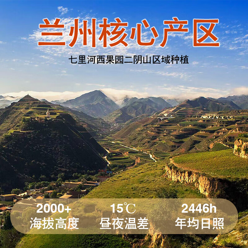 米家山兰州鲜百合片 免清洗新鲜碗装 无硫无添加真空包装可生吃煮粥煲汤 兰州鲜百合片(免洗净片） 125g*12碗【礼盒装】