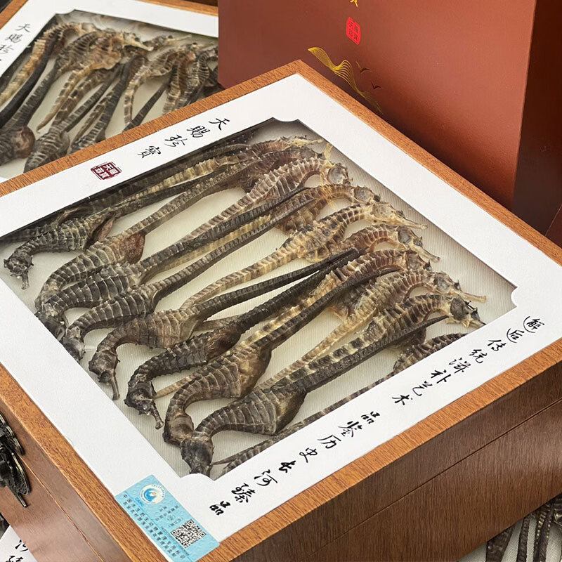 春节礼盒 海马干 礼盒 正品溯源男性补营养煲汤材料泡药酒药材 约(2-3克/条) 50g*1盒