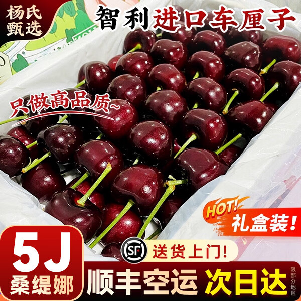 菲农现货智利进口车厘子礼盒装新鲜大樱桃当季孕妇时令水果顺丰黑珍珠 1.8斤(净重) 4J