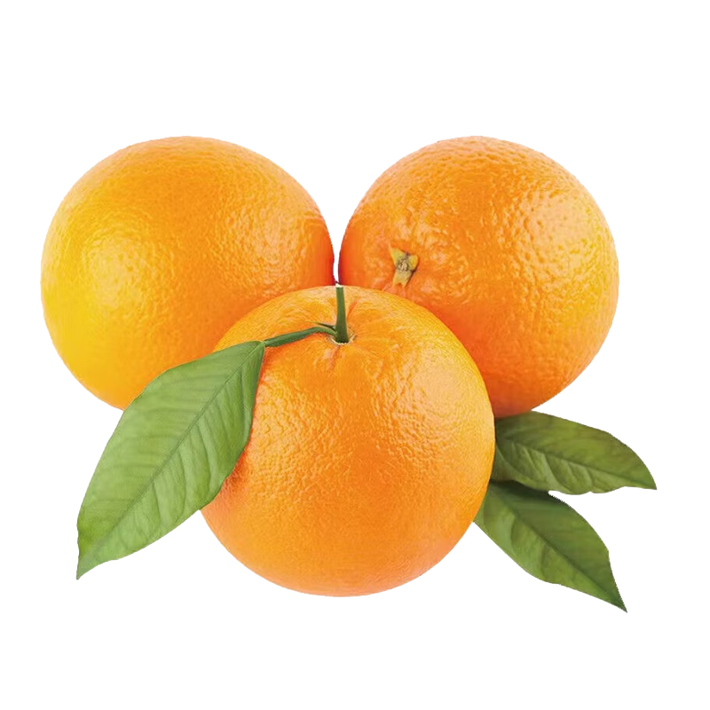 ���ڸ������ ������ժ�ְ��� ����ˮ�� ����ֱ�� ����10�� 60-69mm 17.99Ԫ(����ȯ)