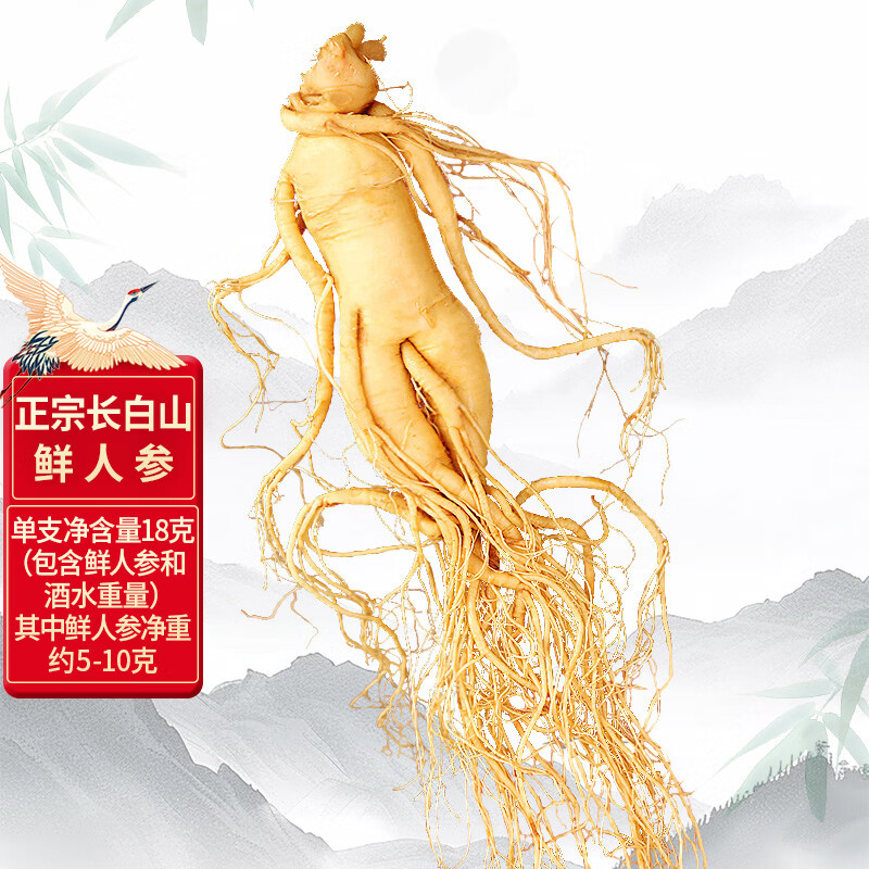 长白山人参小鲜人参单支酒浸鲜参18克，煲汤煮粥泡酒材料，富含人参皂苷