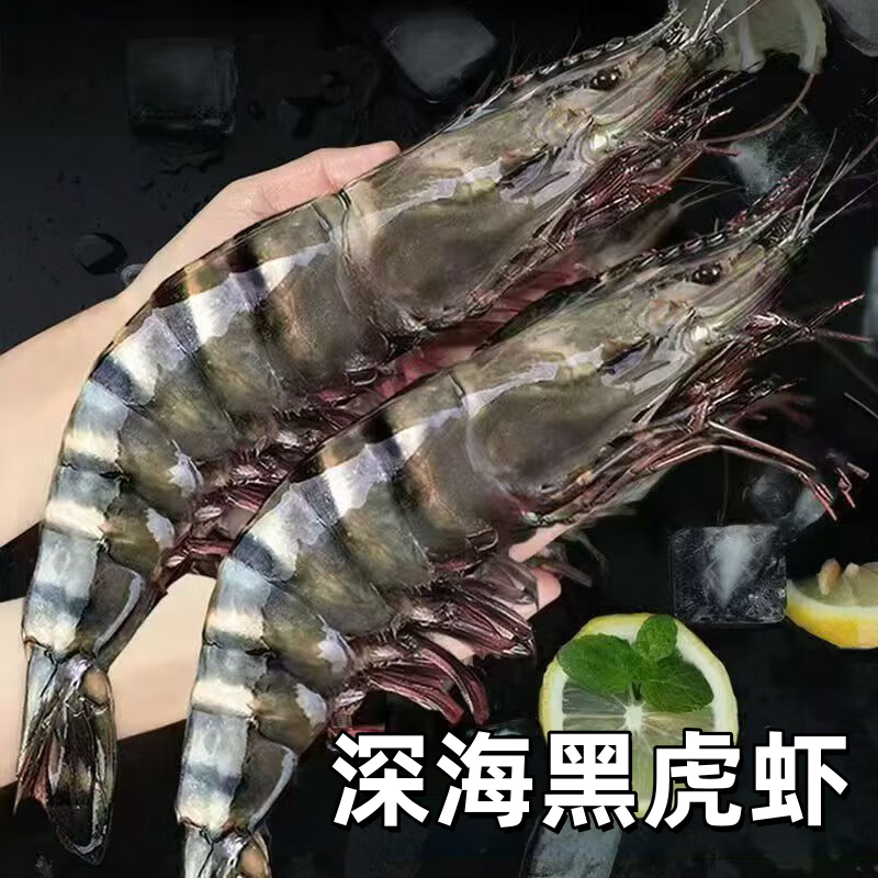 CLCEY进口黑虎虾高品质鲜活冷冻黑虎虾大虾类超大老虎虾顺丰包邮到家 22-24厘米共8只 1000g(净重) 礼盒装