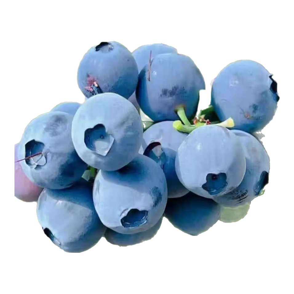 ������ݮ��ժ�ַ������֭������ݮ�����и�����ʳ�� ��ݮ15mm������90-110g*4�� 30.3Ԫ