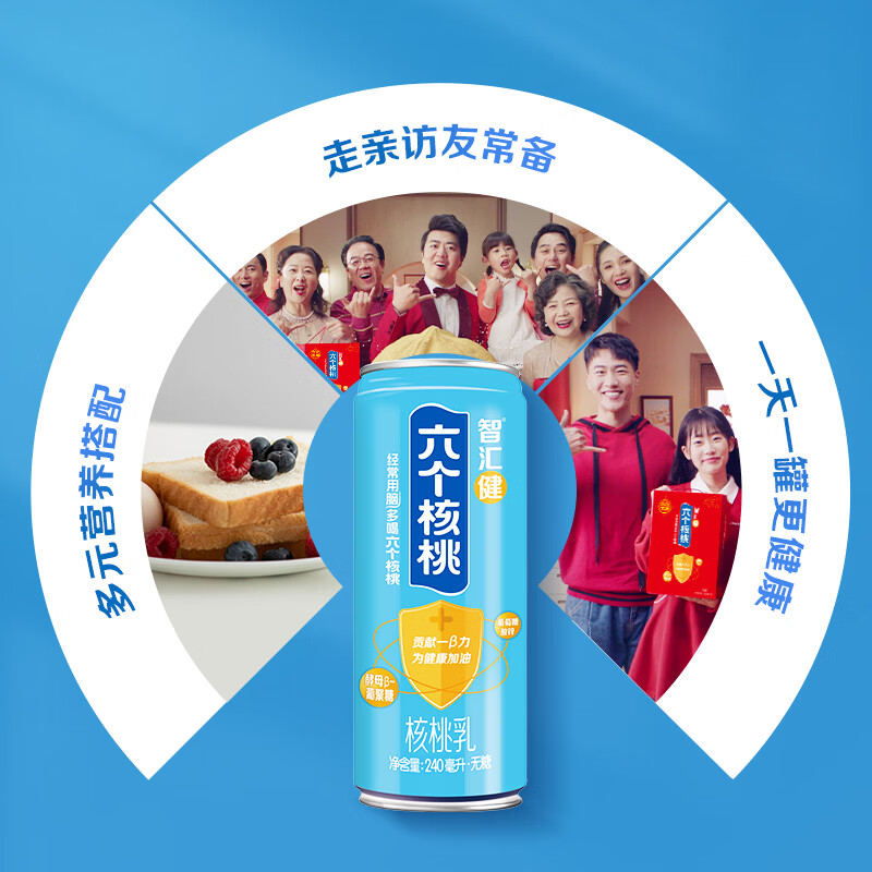 六个核桃智汇健核桃乳240ml*12罐*2箱植物蛋白饮料【年货好礼】
