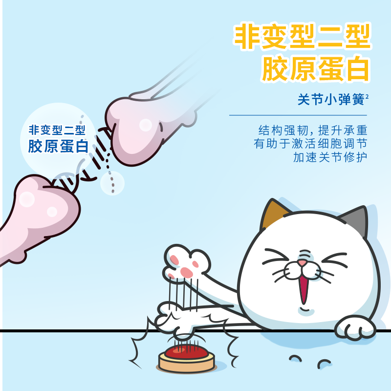 DHC Kitty&Doggy猫咪鲨鱼软骨素粉宠物营养补充剂骨骼关节修复补钙健骨 【呵护关节丨约60天】 50g*1袋