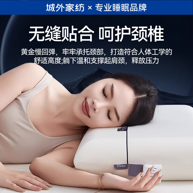 城外记忆棉枕头成人一对 枕头护颈枕睡眠颈椎病深度睡眠专用 pro枕芯 慢回弹深睡枕-10cm 单只