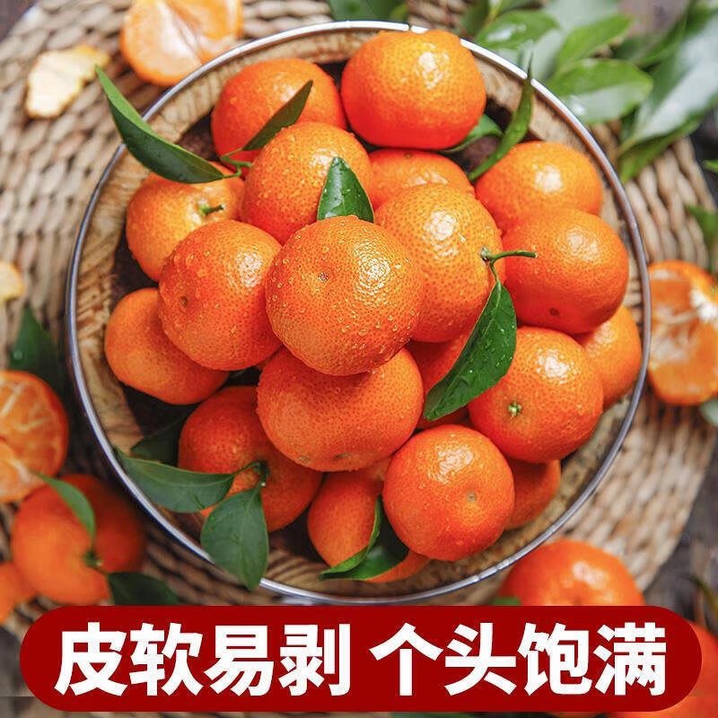 酷果汇新配送高山砂糖橘新鲜清甜沙糖橘橘子应季小桔子蜜桔金秋薄皮水果 整箱5斤热销果【35-55MM】净4.5斤