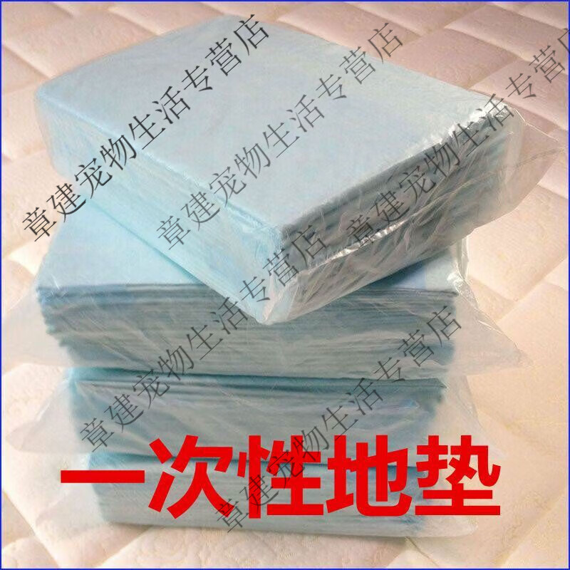 家用6090cm一次性地垫免洗防水卫生间厕所浴室防滑脚垫厨房吸油 60*90cm10片加厚款带背胶