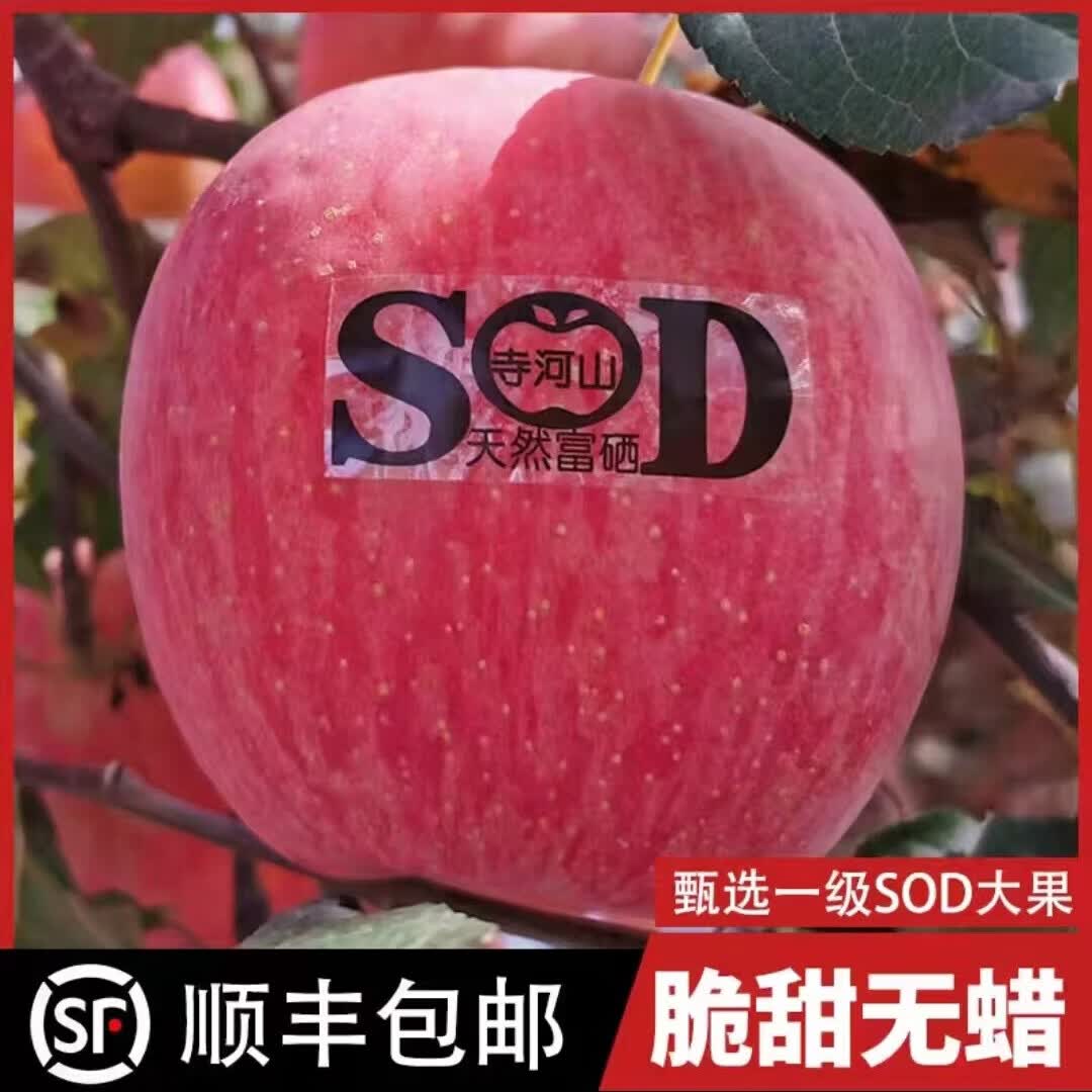 灵宝苹果河南灵宝寺河山SOD苹果富硒红富士脆甜冰糖心水果年货礼盒 80mm(24个家庭装)无标