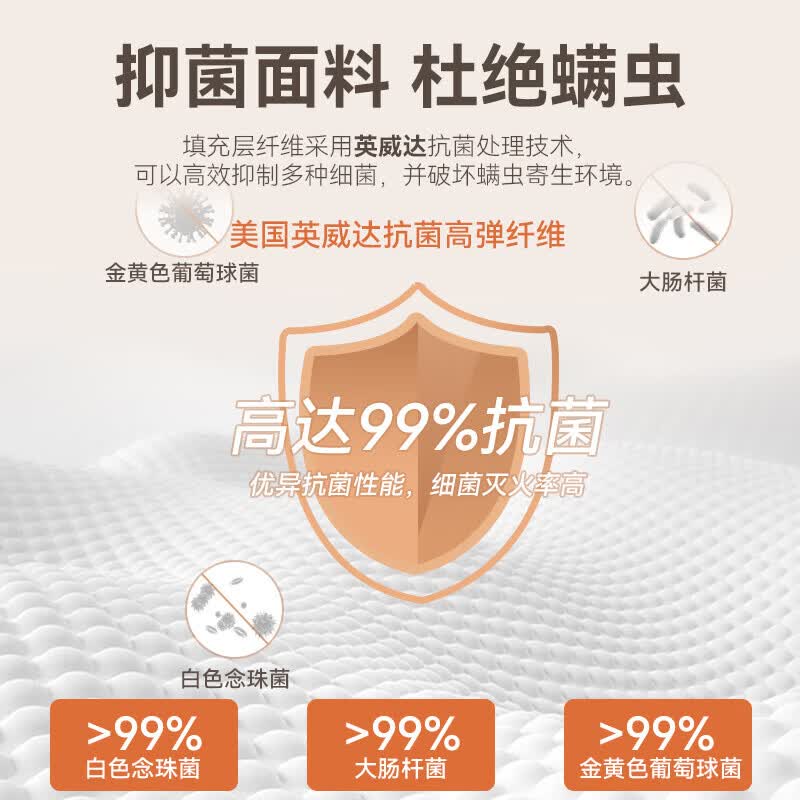 能见度床垫1.8米x2米 天然椰棕床垫子棕垫硬棕榈婴儿童榻米专用定制定做 护腰护脊10CM厚(婴儿棉面料+黄麻双金棕) 1.8米x2米（德国VISIBL婴幼儿可用）