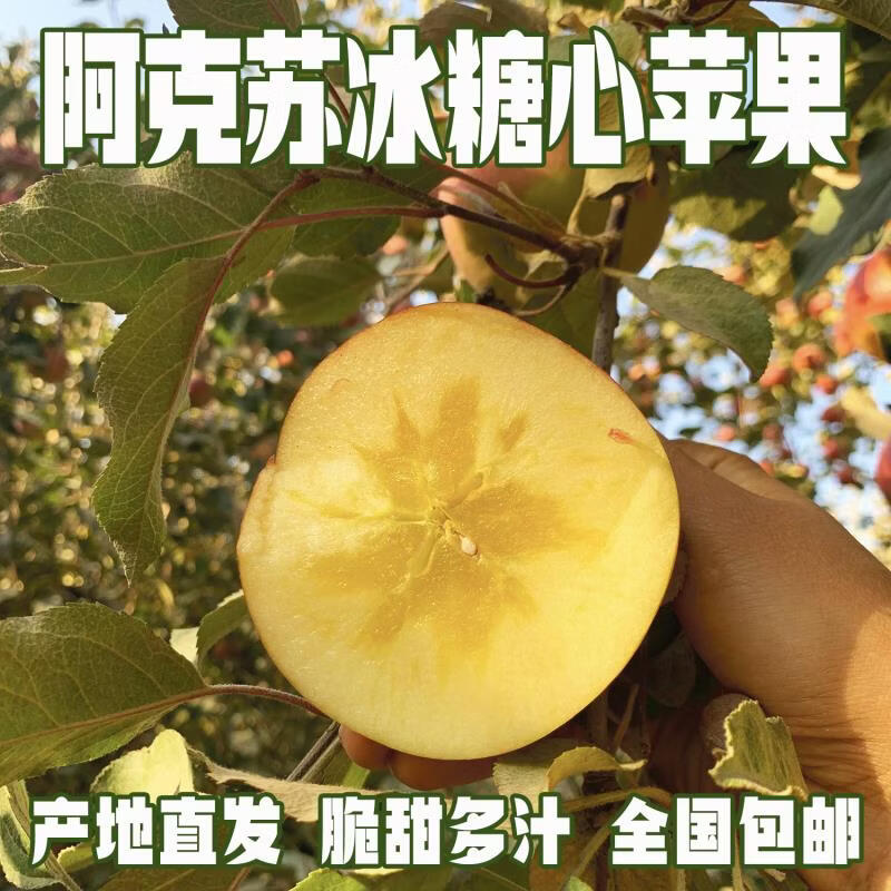 都食田间【顺丰包邮】正宗阿克苏苹果冰糖心新疆丑红富士脆甜多汁产地直发 65-100mm 不同规格果径大小不同_顺丰快递 12颗 精品礼盒95mm以上果王