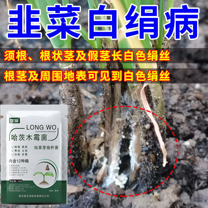 垄颖生根壮苗】韭菜白绢病叶子发黄瘦小黄叶干尖疫病锈病叶枯病专用肥