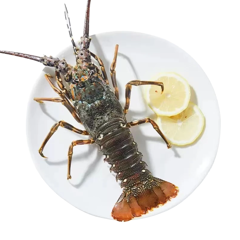 ����Ǣ С����Ϻ 2ֻ*200g-250g/ֻ���� 88.04Ԫ(����ȯ)