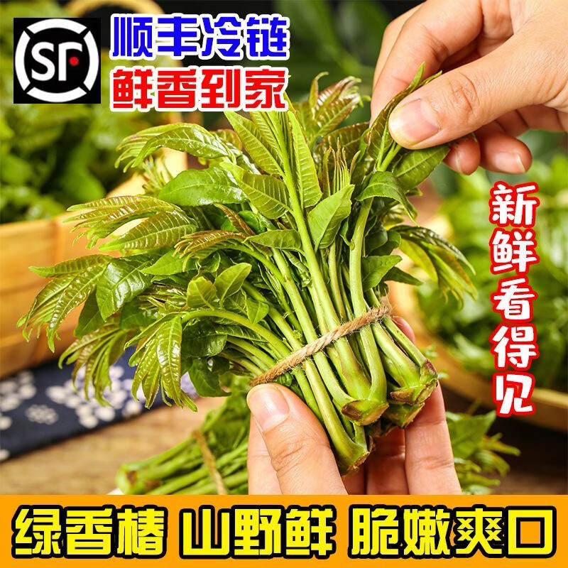 金百粟【顺丰到家】陕西头茬香椿芽新鲜野菜红绿油香椿叶野现采蔬菜现摘 香椿250g装【2盒】-顺丰直达