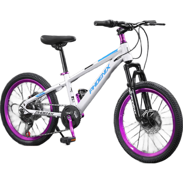 ���ڲ��������ɽ�س���ͯ���г���Ů��6-10-12-14���д�ͯ������Сѧ�����ٱ��� ����/���� 22Ӣ�硾�ʺ�����140cm-160cm�� ���г� 446Ԫ