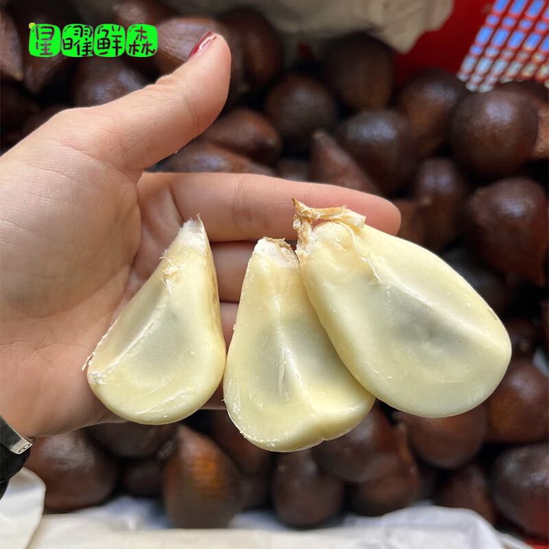 星曜鲜森印尼蛇皮果罕见稀有进口热带时令新鲜水果轻奢高档沙叻顺丰发货 1500g（20-25个）【5A进口大果】顺丰包邮 40-80g单果