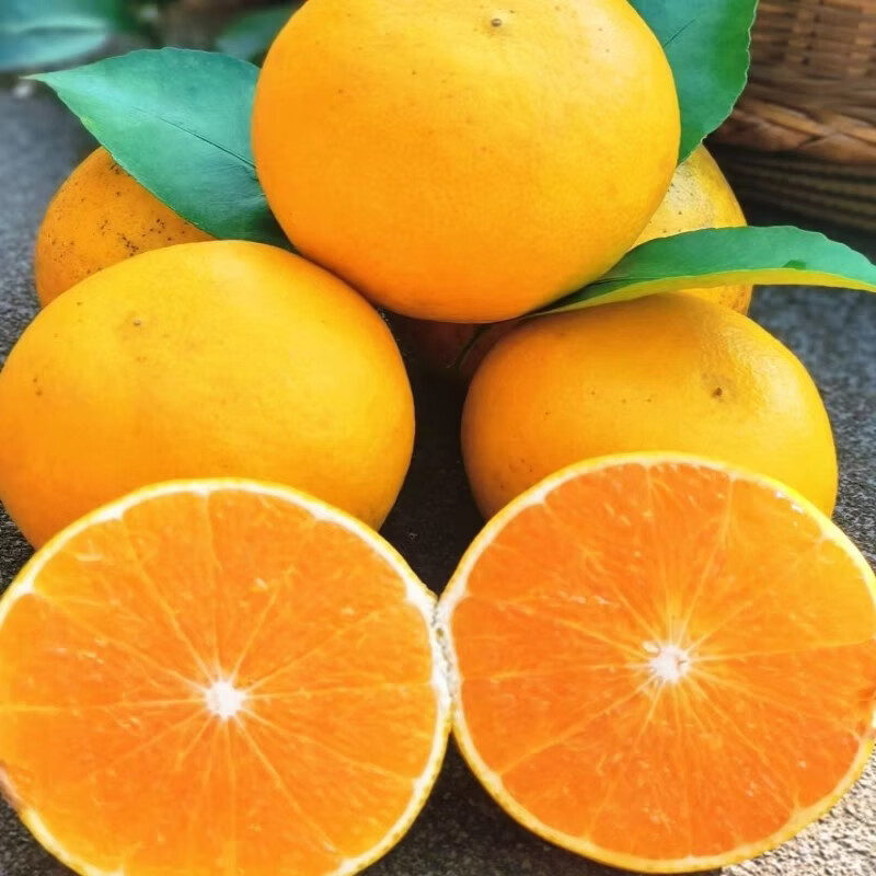 绿熊庄园正宗阳光一号桔柚水果薄皮纯甜化渣无籽当季新鲜孕妇水果整箱送礼 【小果净重5斤】单果150g+ 到15-17枚