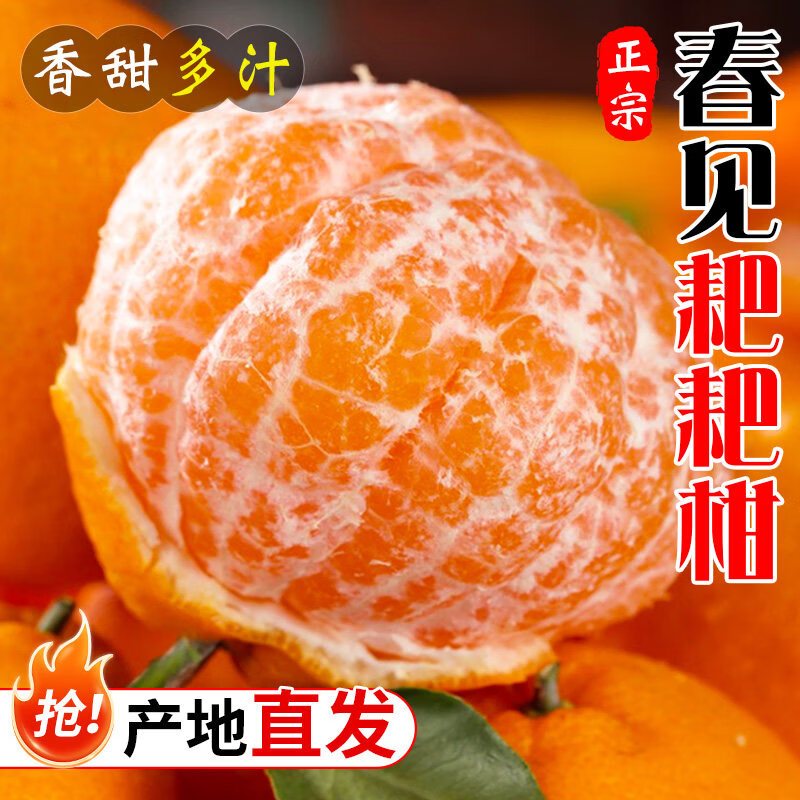 相遇红颜四川眉山春见耙耙柑新鲜橘子正宗粑粑柑当季桔子孕妇水果 5斤(单果70mm起)