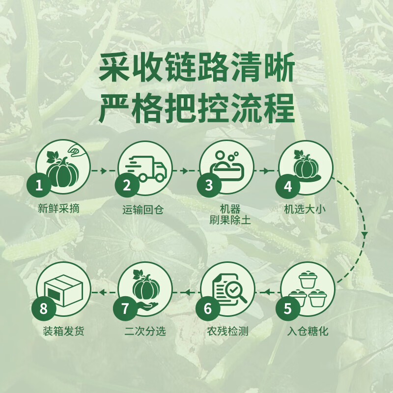 东方甄选贝贝南瓜国产品种细腻 净重4.8斤装新鲜蔬菜 坏果包赔 【贝贝南瓜 4.8斤 装】(约4-8个/箱)