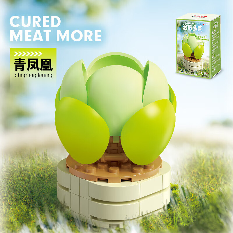 费米（Femibox）【优选直发】多肉积木观音莲绯花玉玫瑰青凤凰玉蝶若绿琉璃莲组装 费米2265青凤凰