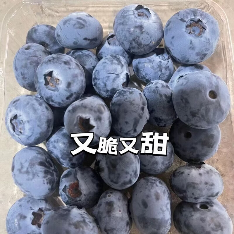 缦语【顺丰发货】云南花香蓝莓露天生态种植宝宝脆甜多汁营养健康 6盒【金标15mm+】 125g/盒【 顺丰上门 I 空运冷链】