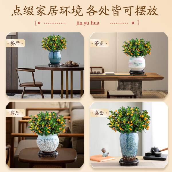 金鱼吊兰鱼花盆栽室内四季客厅开花好养阳台耐寒植物旺宅带花带盆 招财金鱼吊兰2盆+2个盆+原土肥料