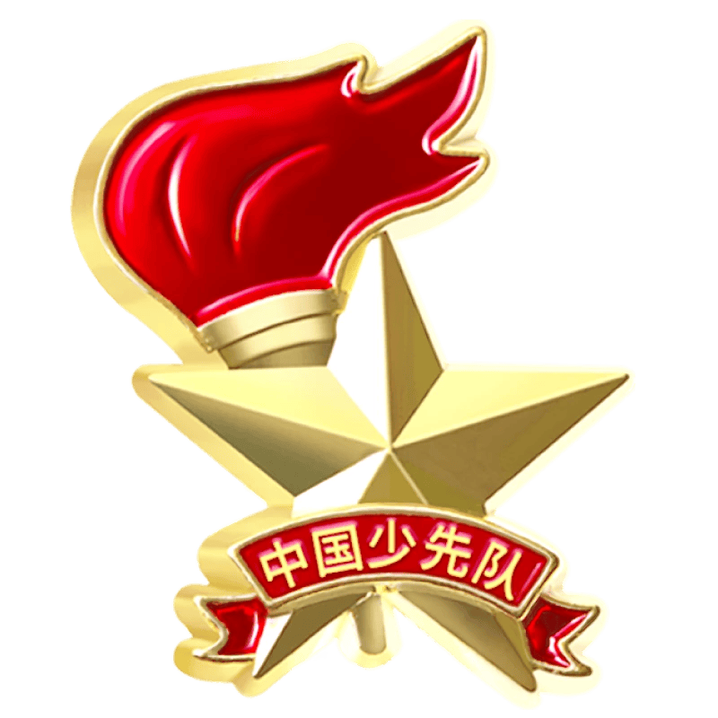 优和（UHOO）标准款队徽校徽小学生别针磁扣立体款火炬队徽 别针扣5个装 0265