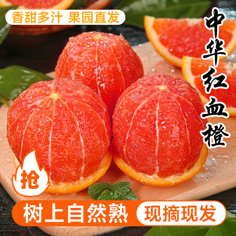 正宗江西赣南血橙生鲜水果橙子（10斤装） 净重9斤 80-95mm