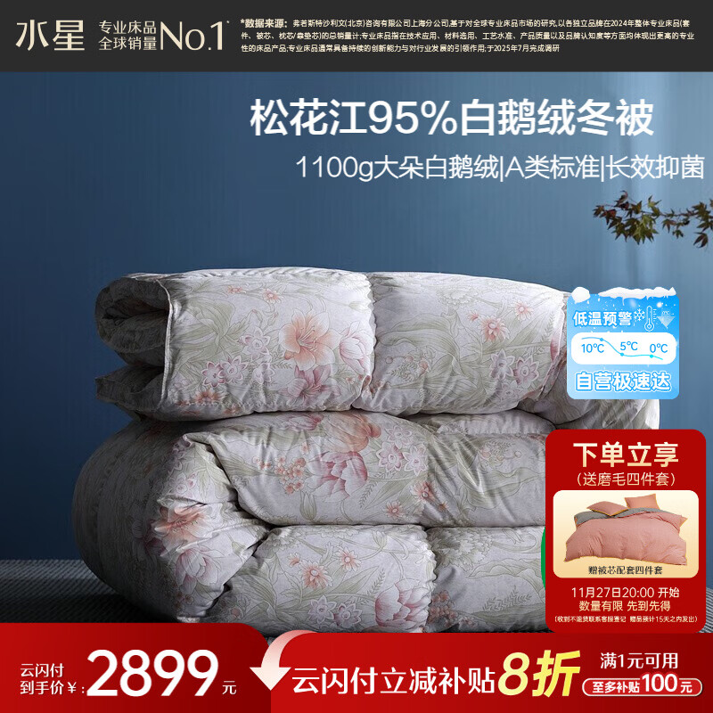 水星家纺羽绒被95%白鹅绒被子冬季加厚冬被芯双人羽绒被220cm×240cm-1100g