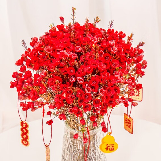 【澳洲腊梅】腊梅年宵花云南鲜花直发 红色澳洲腊梅200g【吸色花材】