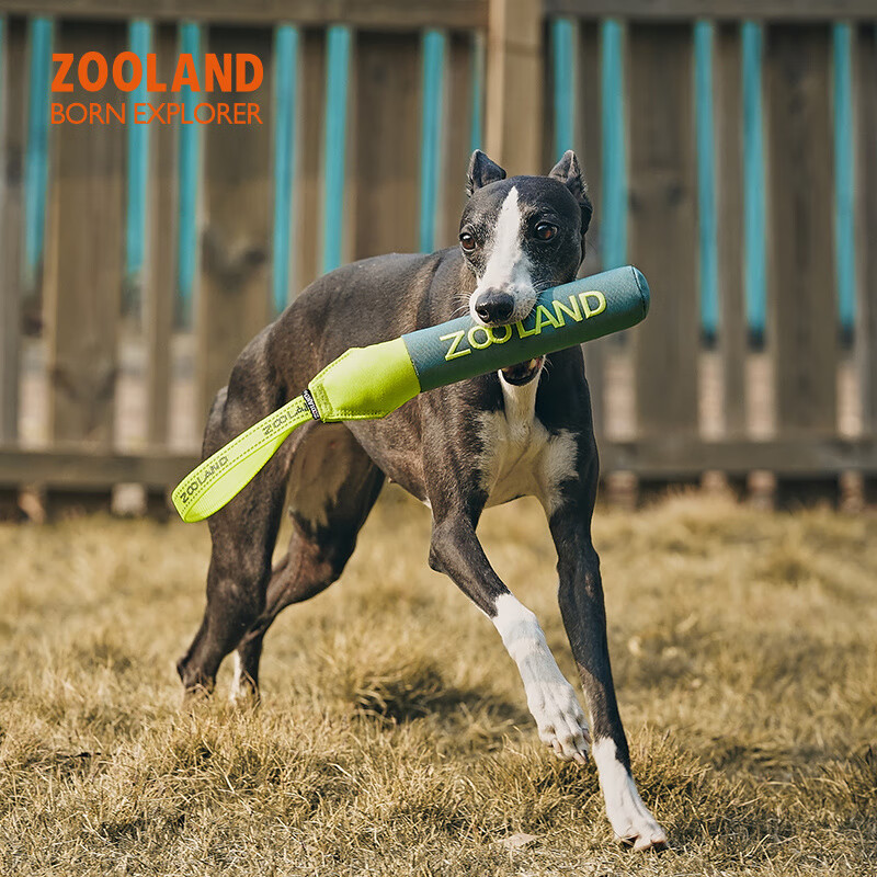 ZO宠物狗狗玩具磨牙耐咬自嗨解闷中大型犬互动拔河撕咬专用 绿色【撕咬棒】S码(4.5x25cm)