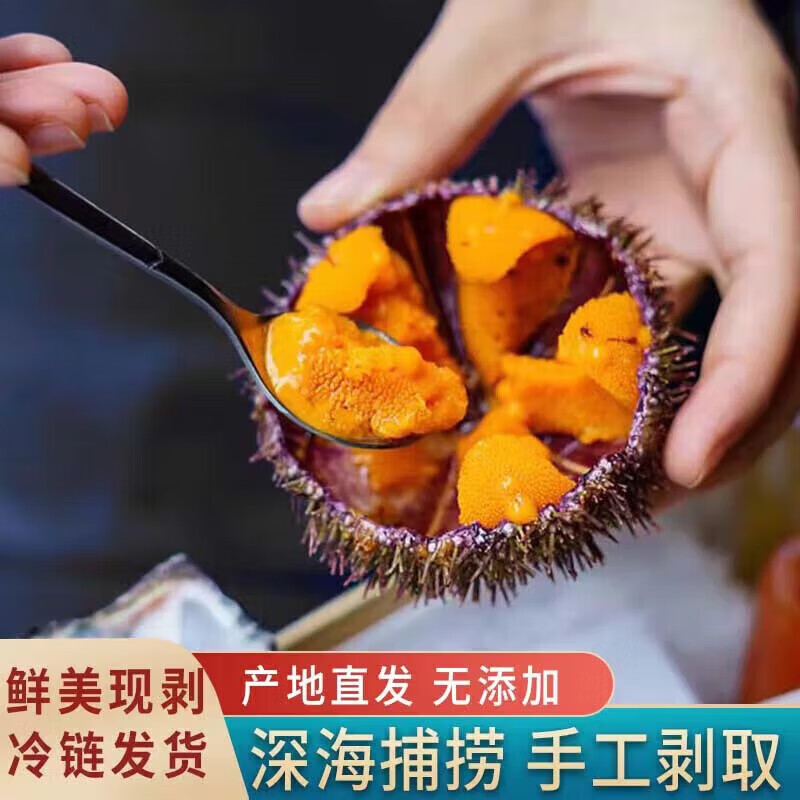 刺身新鲜海胆肉鲜活冷冻海刺猬刺锅子海刺球刺身无添加食材水产 纯海胆肉1盒100g