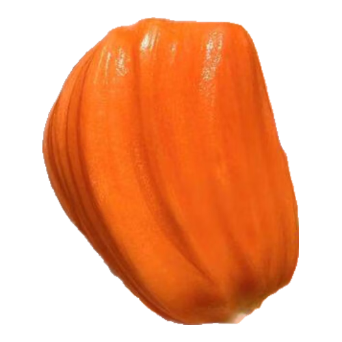 ���� ӡ����Ⲥ���� ���� �ɰ� 8-10�� ��ɫ���� 189Ԫ